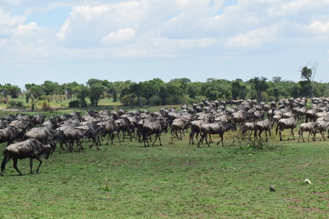 Unforgettable 4 Days Tanzania Private Budget Safari Tour - Is $1,721 per person good value?