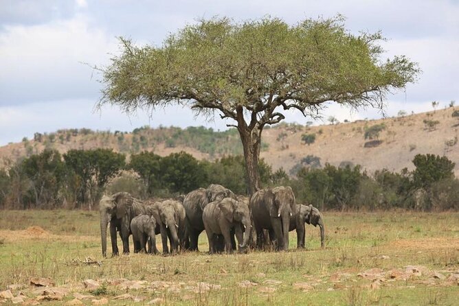 Unforgettable Tanzania Safari And Zanzibar Beach - The private Land Cruiser setup