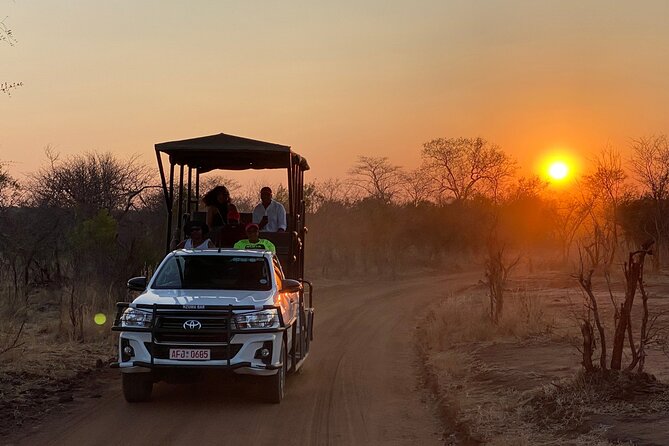 Unique Safari Game Drives in Zambezi National Park, 4 Options - Morning or afternoon: which should you choose?