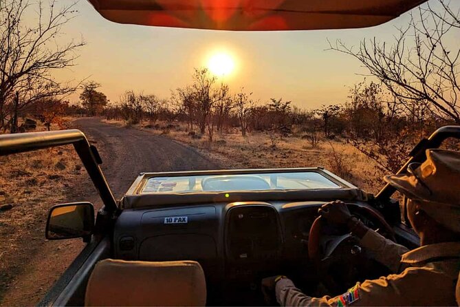 Unique Safari Game Drives in Zambezi National Park, 4 Options - Four safari styles, four different moods
