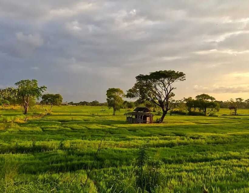 Unseen Sigiriya: Village & Rock Viewpoints by Tuk Tuk - Who Gets the Best Value for $13
