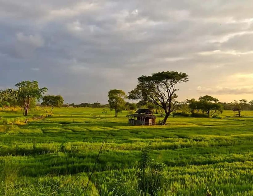Unseen Sigiriya: Village & Rock Viewpoints by Tuk Tuk - Timing, Comfort, and Practical Limits