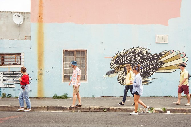 Urban Safari in Cape Town - Hout Bay and the road to Chapmans Peak