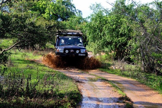 VALUE PACK! One Day Safari Tour to Yala and Udawalawa Parks - Udawalawe National Park: a shorter drive with stronger elephant potential