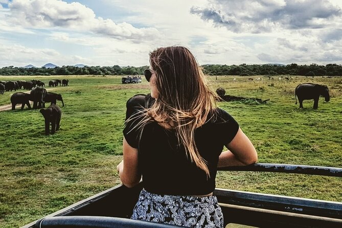 VALUE PACK! One Day Safari Tour to Yala and Udawalawa Parks - The Elephant Transit Home is a brief but worthwhile stop