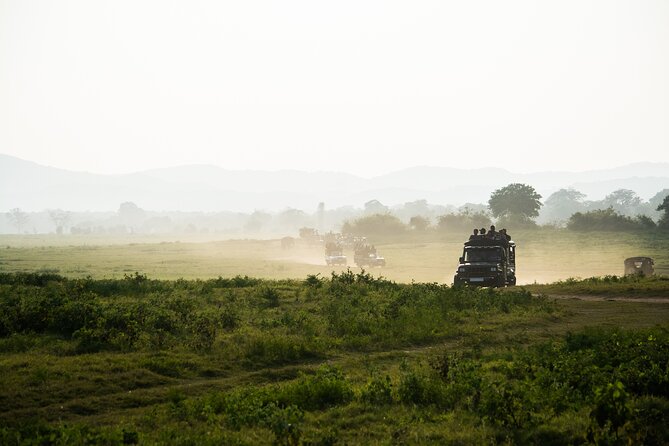 VALUE PACK! One Day Safari Tour to Yala and Udawalawa Parks - Who should book this safari?