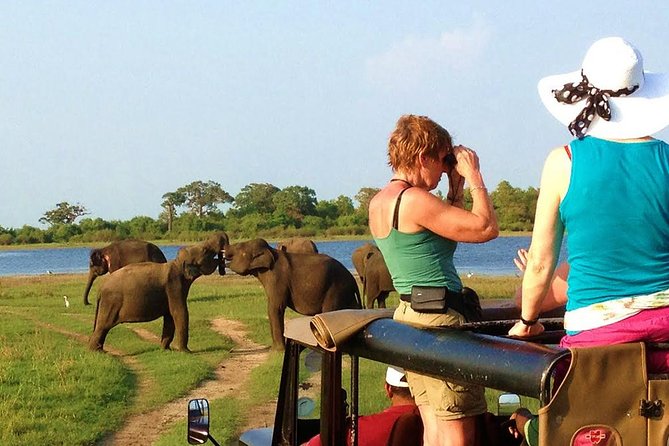 VALUE PACK! One Day Safari Tour to Yala and Udawalawa Parks - Picnic lunch between drives