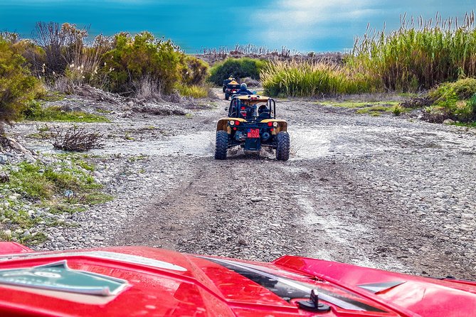 Village & Mountain Buggy Safari in Paphos - The return route is easier, but less wild