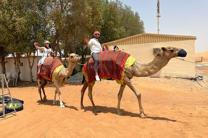 Vip Desert Safari Dubai with Camel Riding BBQ Dinner & Live Shows - How the shared pickup changes the value