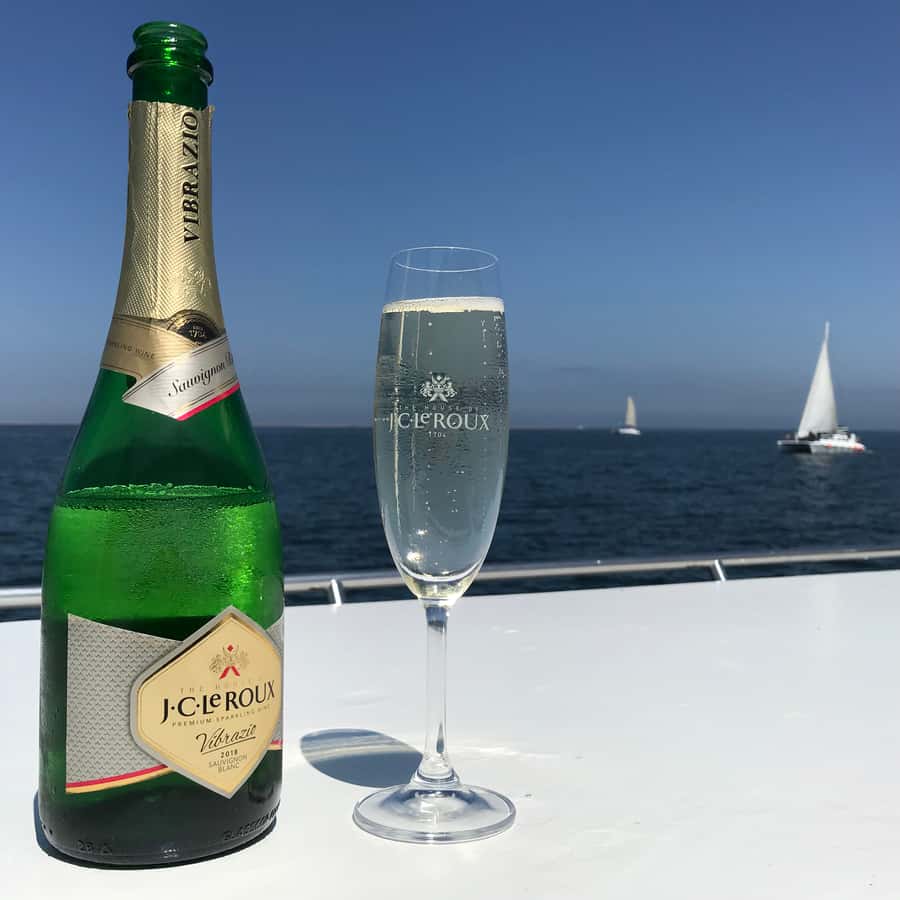 Walvis Bay: Marine Big 5 Luxury Catamaran Tour - Dolphins that turn the boat ride into a show