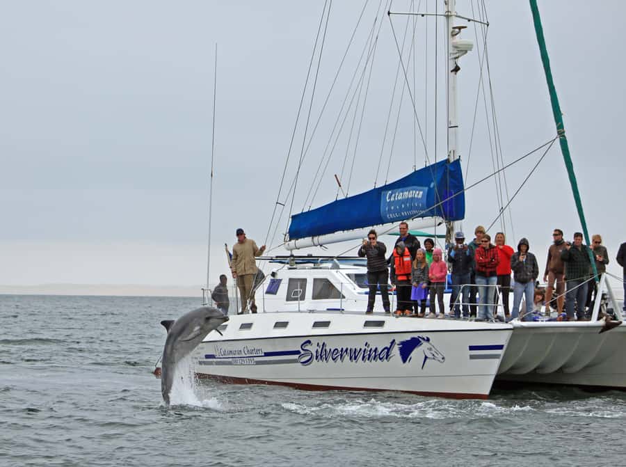 Walvis Bay: Marine Big 5 Luxury Catamaran Tour - Mola mola and leatherback turtles