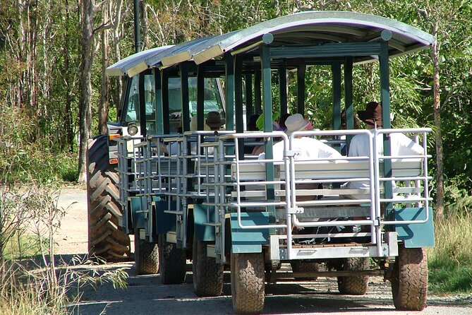 Whitsunday Crocodile Safari - Key points to know before you go