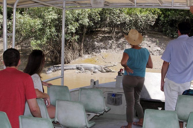 Whitsunday Crocodile Safari - The river guide can make or break the cruise