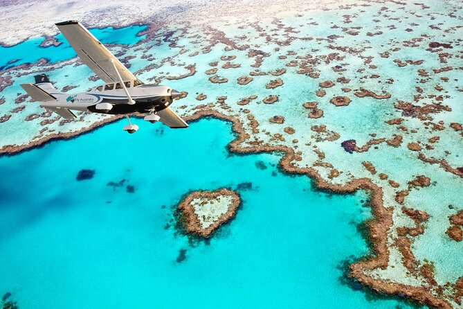 Whitsunday Crocodile Safari - The wildlife is real, but the outcome can change