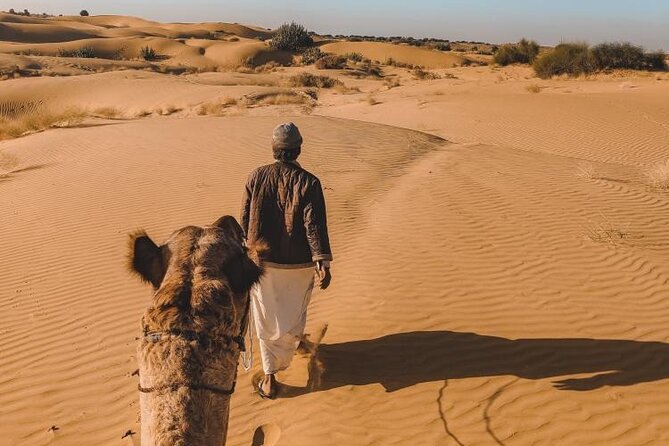 Wild Desert Overnight Safari - From the jeep to the camel at sunset