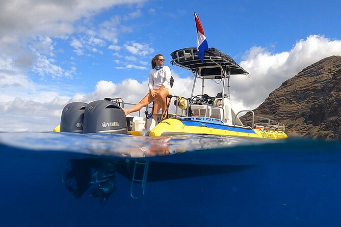 Wild Dolphin Watching and Snorkel Safari Off West Coast of Oahu - A small boat and a big view of West Oahu