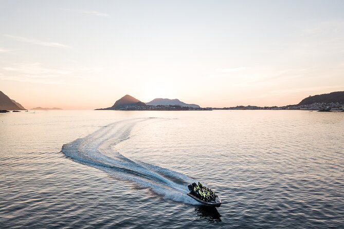 Wildlife Sea Safari in Alesund - The RIB ride from Ålesund