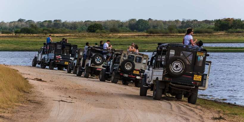 Wilpattu National Park Safari Tour from Colombo - The Guides Can Shape the Day