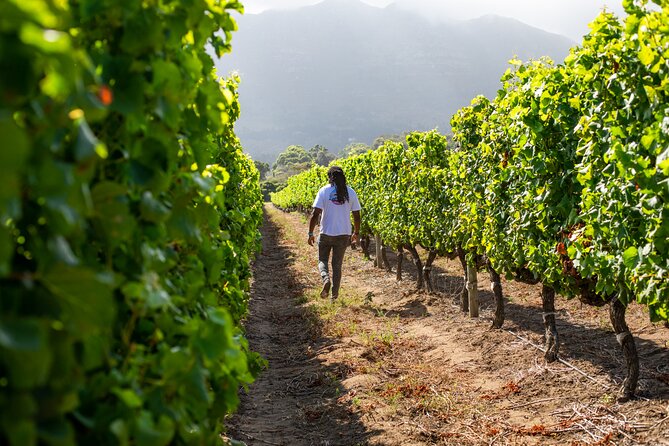 Wine Beer and Biltong Safari - Stellenbosch - What the small group means for your day