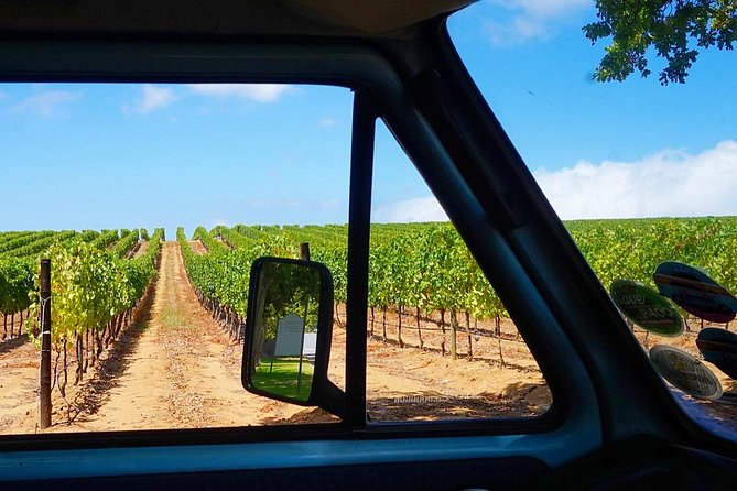 Wine Beer and Biltong Safari - Stellenbosch - Who should book this experience?