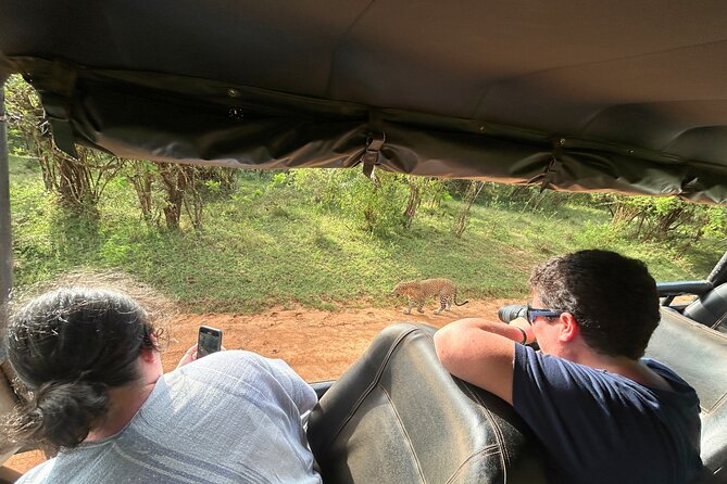 Yala 4h Jeep Safari: Guided Wildlife Experience (All Inclusive) - The real drawback: a demanding day on the road
