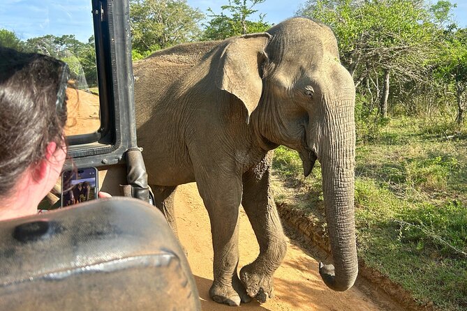 Yala 4h Jeep Safari: Guided Wildlife Experience (All Inclusive) - Cancellation and booking details
