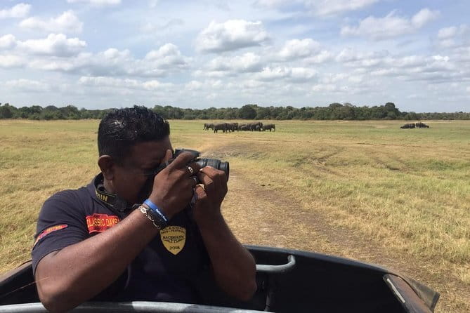 Yala National Park Private Jeep Safari From Colombo & Negombo - The wildlife you may actually see