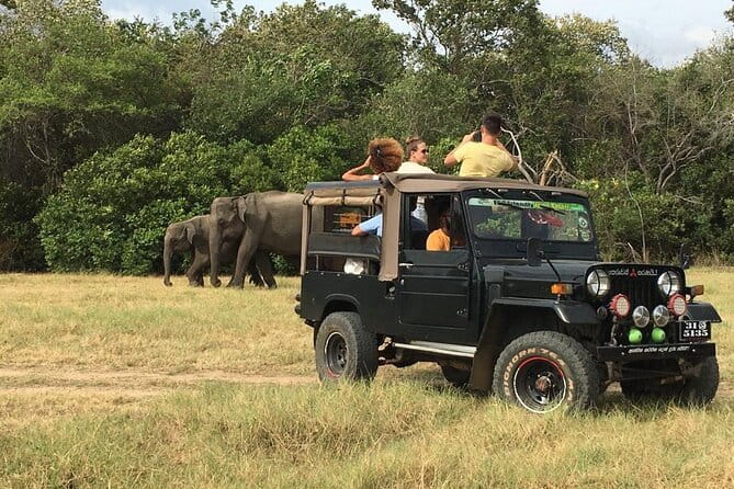 Yala National Park Private Jeep Safari From Colombo & Negombo - Why the private format can be worth $250