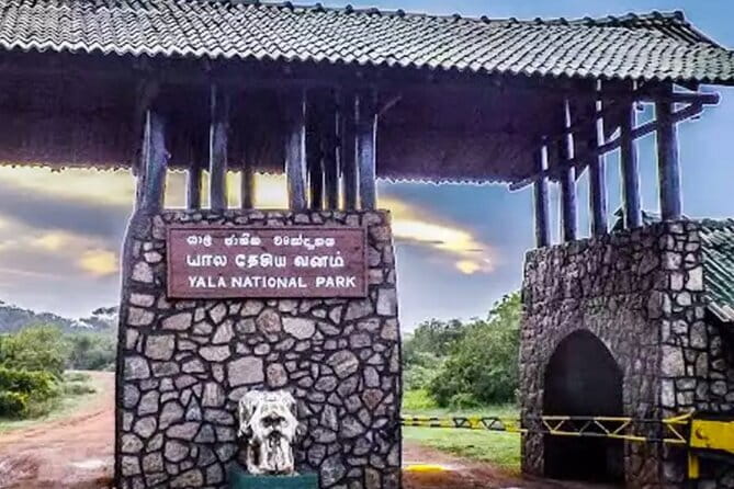 Yala National Park Private Jeep Safari From Colombo & Negombo - Guides, timing, and service