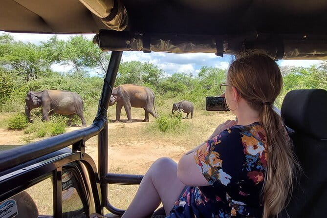 Yala National Park Private Jeep Safari From Colombo & Negombo - Problems worth checking before you go