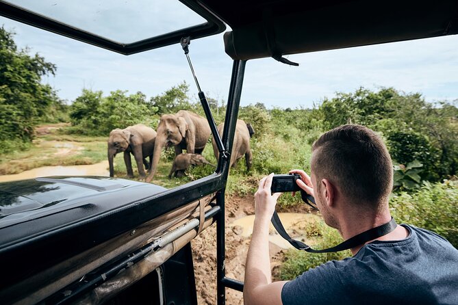 Yala National Park Wildlife Safari/ Game Drive - by Ajith Safari - What the Ajith Safari experience is really like