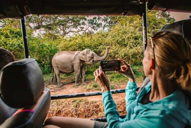 Yala Safari Tour from Hambantota Port by Ajith Safaris - Key points to know before you book