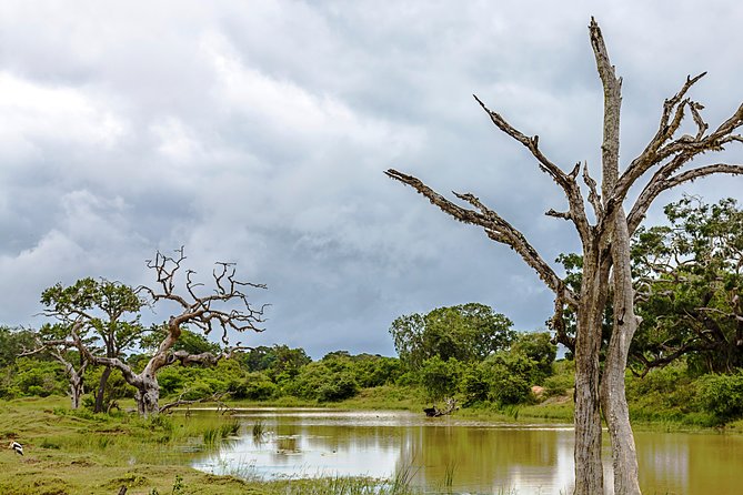 Yala Safari Tour from Hambantota Port by Ajith Safaris - The second Yala section changes the search