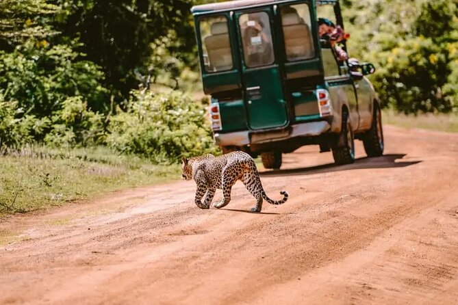 Yala Safari Tour from Hambantota Port by Ajith Safaris - Meeting the Ajith team at Hambantota Port