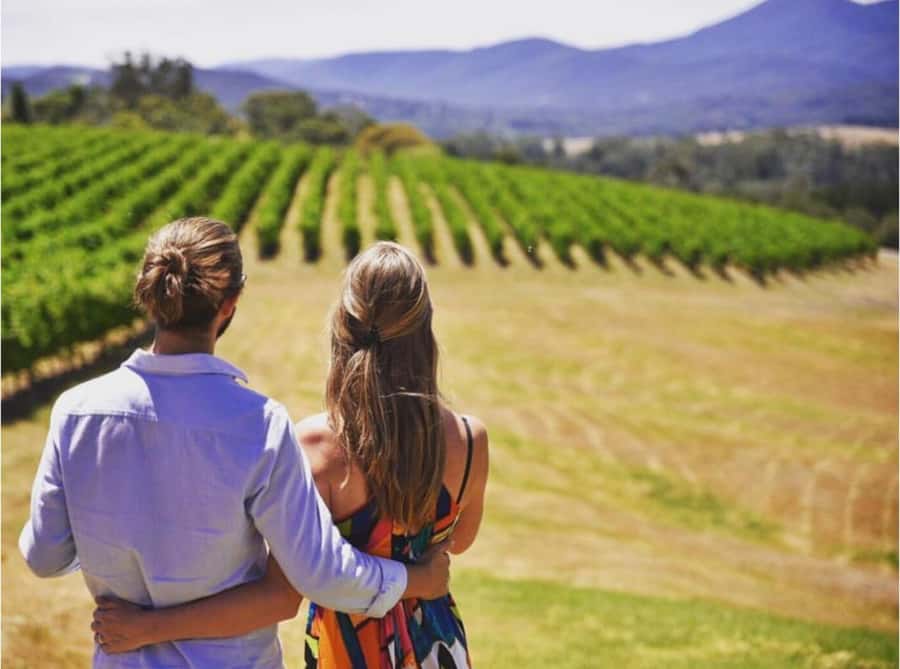 Yarra Valley Foodies Tour with Chandon and Kangaroo Safari! - Soft cheese at a family dairy