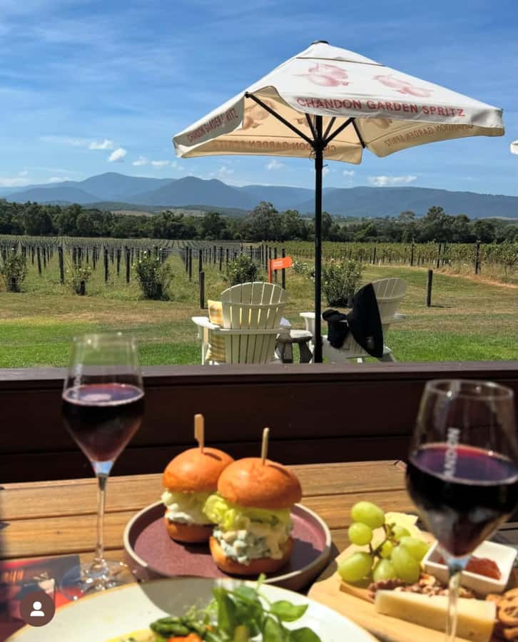 Yarra Valley Foodies Tour with Chandon and Kangaroo Safari! - Yering Station and Victoria’s first vineyard