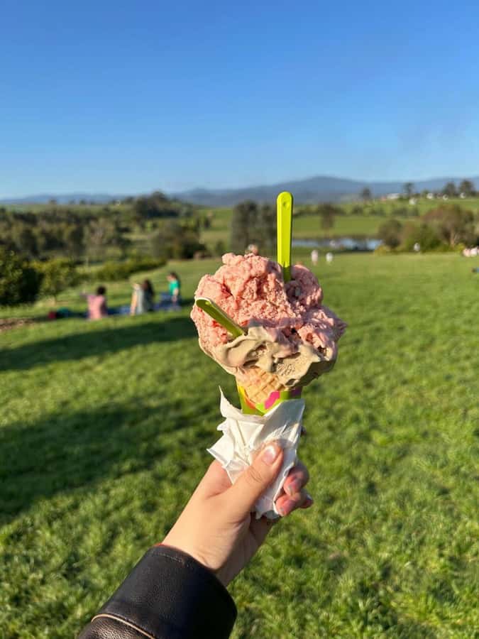 Yarra Valley Foodies Tour with Chandon and Kangaroo Safari! - Chocolate, ice cream and a busy final tasting