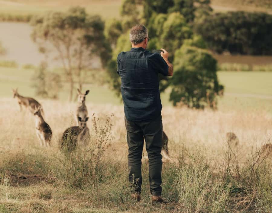 Yarra Valley Foodies Tour with Chandon and Kangaroo Safari! - Who will enjoy this day most