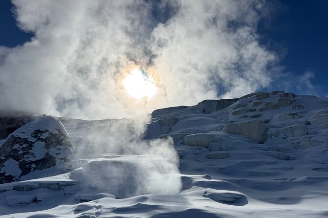 Yellowstone Winter Wildlife & Snowshoe Tour | PRIVATE - Warmth and context at Albright Visitor Center